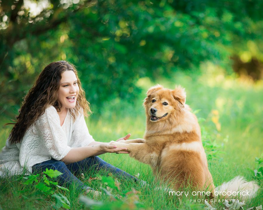 chow_golden_retriever_willow-1