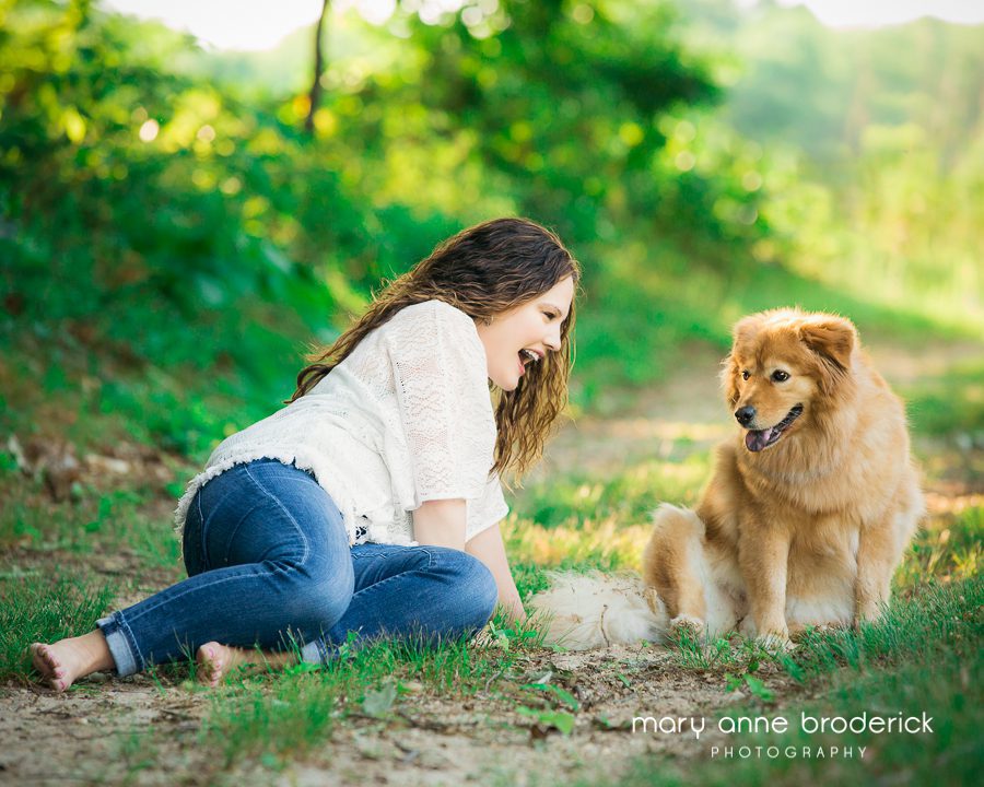 chow_golden_retriever_willow-2