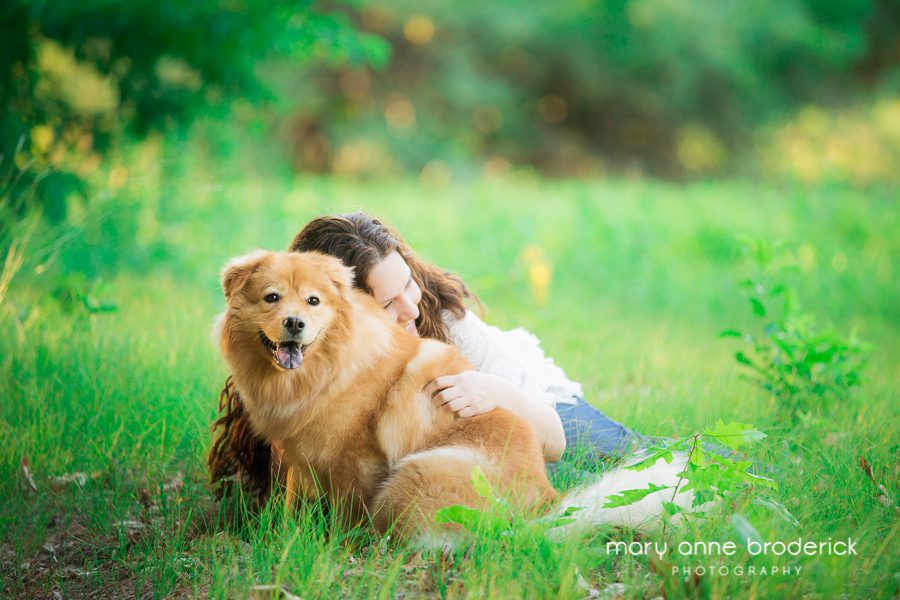 chow_golden_retriever_willow-3