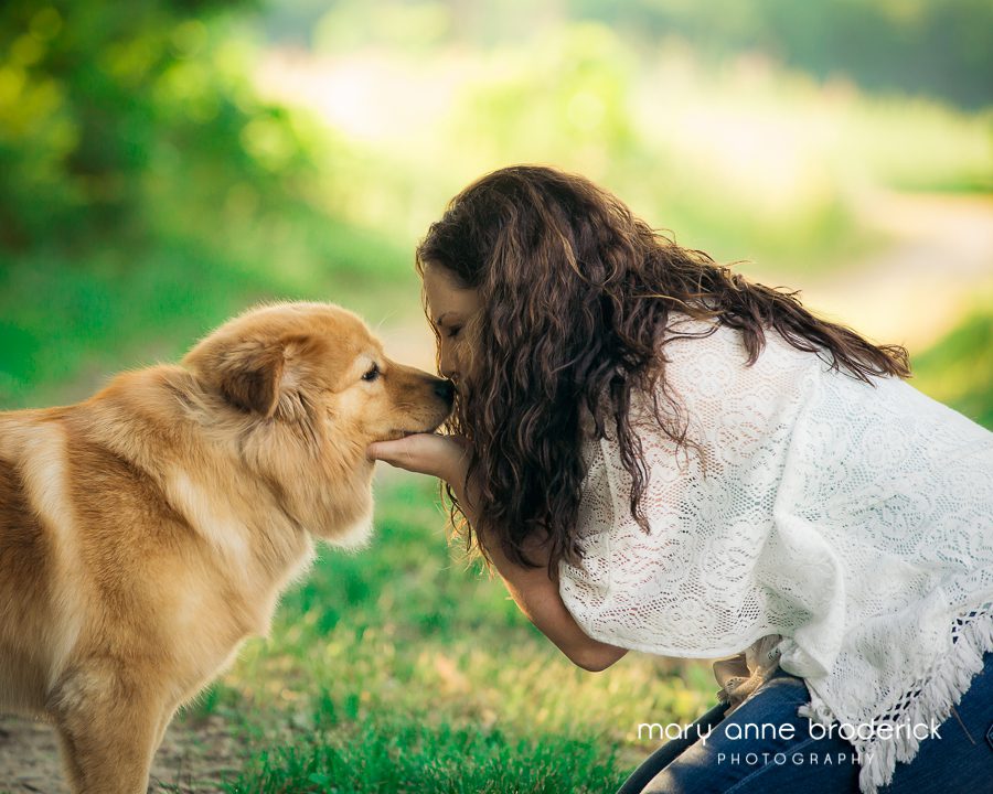 chow_golden_retriever_willow-4